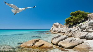 ξενοδοχεια χαλκιδικη - Skion Palace Beach Hotel