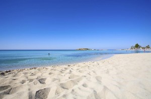 ξενοδοχεια χαλκιδικη - Skion Palace Beach Hotel