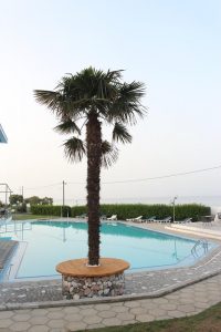 πολυτελη διαμονη χαλκιδικη - Skion Palace Beach Hotel