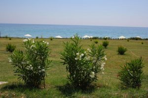 πολυτελη διαμονη χαλκιδικη - Skion Palace Beach Hotel
