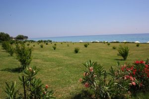 πολυτελη διαμονη χαλκιδικη - Skion Palace Beach Hotel
