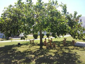 halkidiki hotels - Skion Palace Beach Hotel