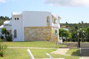 halkidiki hotels - Skion Palace Beach Hotel