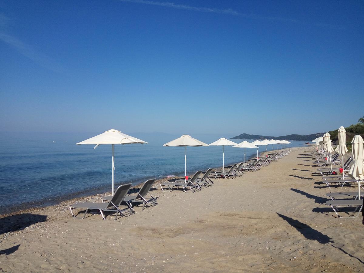 halkidiki hotels - Skion Palace Beach Hotel