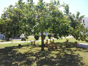 πολυτελη διαμονη χαλκιδικη - Skion Palace Beach Hotel