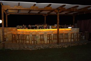 hotels in halkidiki greece - Skion Palace Beach Hotel