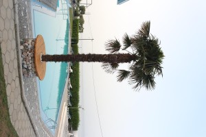 χαλκιδικη ξενοδοχεια με πισινα - Skion Palace Beach Hotel