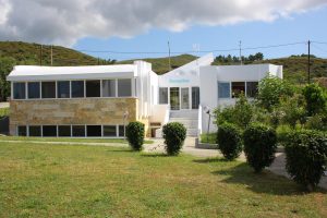 hotels in halkidiki greece - Skion Palace Beach Hotel