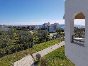 halkidiki hotels - Skion Palace Beach Hotel