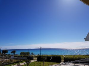 halkidiki hotels - Skion Palace Beach Hotel