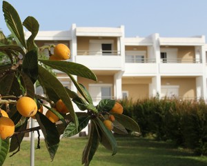 hotels in halkidiki greece - Skion Palace Beach Hotel