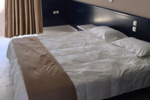 πολυτελη διαμονη χαλκιδικη - Skion Palace Beach Hotel