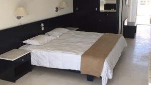 χαλκιδικη διαμονη - Skion Palace Beach Hotel