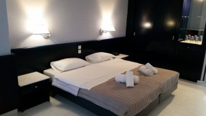 χαλκιδικη δωματια - Skion Palace Beach Hotel