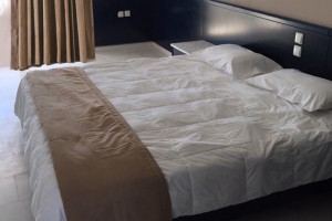 χαλκιδικη δωματια - Skion Palace Beach Hotel